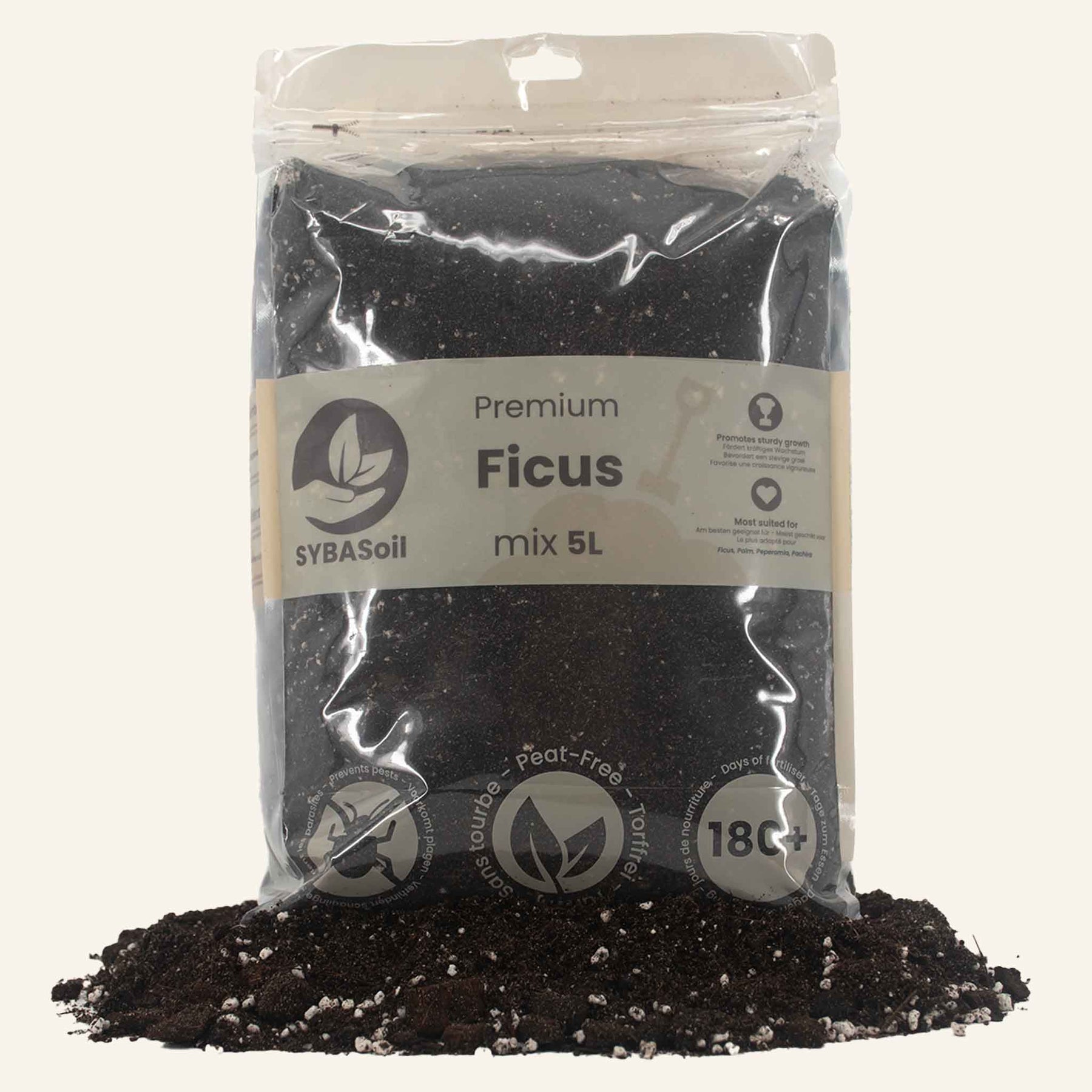 Ficus mix, 5-15L, SYBASoil, Lyrita, 6 mois de nutriments, Sans tourbe, Substrat, Recette de terreau